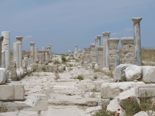 Mainstree of Ancient Laodicea