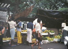 Fruit Stand in Sri Lanka