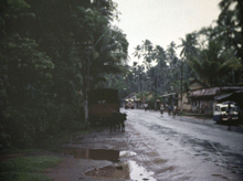 Village in Sri Lanka