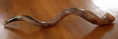 A shofar made from the horn of a Greater kudu
