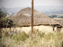 South African Village South African Village